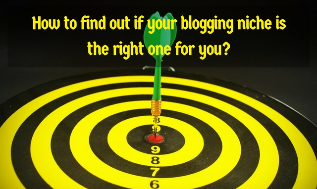 How to Know You're in the Perfect Blogging Niche
