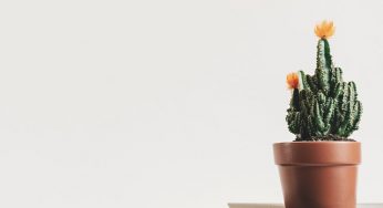 6 Ways to blog effectively and maintain quality and usefulness