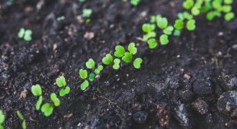 How to build a blog from the ground up (from scratch)?