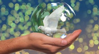 How to Retain Email Subscribers (when they only want a freebie from you)?